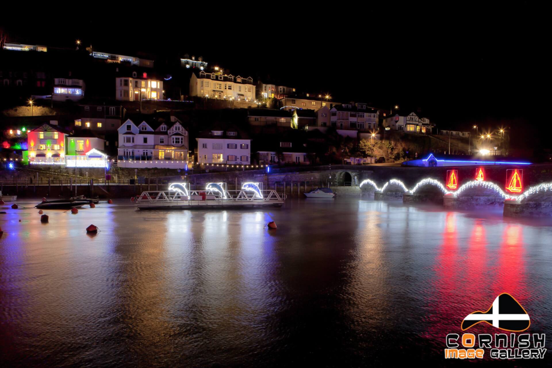 Dolphin Glow Looe Christmas Lights 649